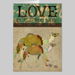 Dreamy Camels  Love Greeting Card cards