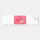 Dreamy Pink Romantic Blueberry Tart with Swirls Bumper Stickers