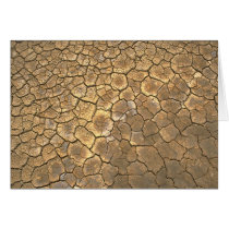Dried Out Lake cards