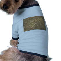 Dried Out Lake pet clothing