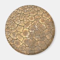 Dried Out Lake magnets