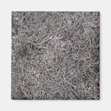 Dried Pine Leaves Background Pattern Magnets