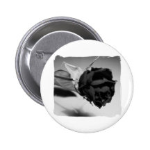 Dried Rose Photograph - Black & White Pinback Buttons