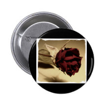 Dried Rose Photograph - Colour Pinback Button