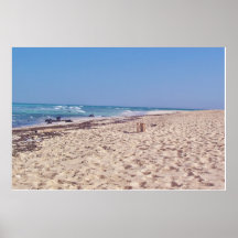 driftwood on the sand poster