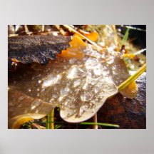 Drops and sun print