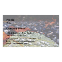 Drops On Leaf 3 Business Card Template