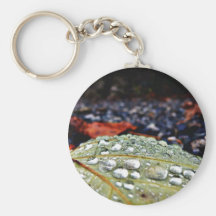Drops On Leaf 3 Key Chains