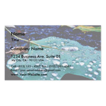 Drops On Leaf 4 Business Card