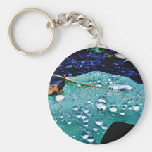 Drops On Leaf 4 Keychains