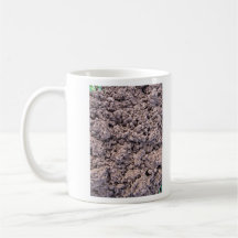 Dry Clay Soil Background Coffee Mugs