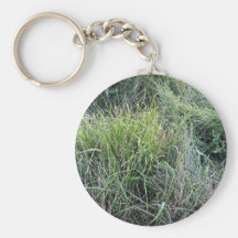 Dry grass in the water keychains