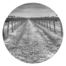 Dry Vines Party Plates