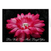 DSC00005 (2), Live Well, Love Much, Laugh Often Cards