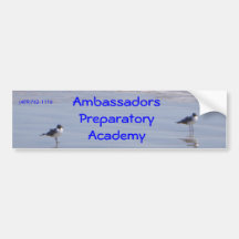 DSC01051, Ambassadors Preparatory Academy, (409... Bumper Stickers
