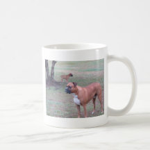 DSC02049 MUG
