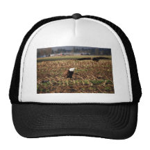 DSC_0031 HATS