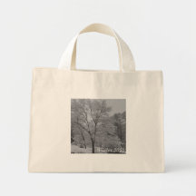 DSC_0097, Winter 2010 Canvas Bag