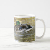DSC_0148 COFFEE MUGS