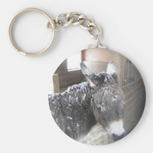 DSCF0134 KEYCHAINS