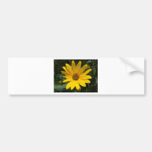 DSCF2781 BUMPER STICKER
