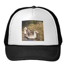 DSCF8783 HATS