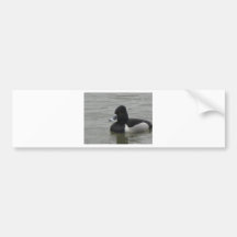 Duck 2 bumper stickers