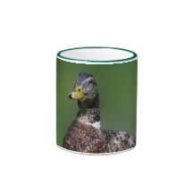 Duck Coffee Mugs
