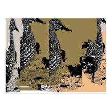 Duck Families Marching I Post Cards