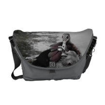 duck feather purse courier bag