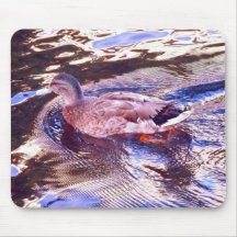 Duck in the golden pond mousemat