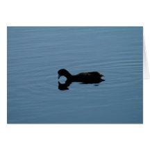 Duck Reflection Greeting Card