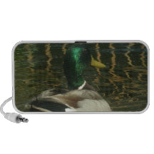 Duck Speaker