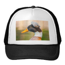 Duck with Mohawk Mesh Hats