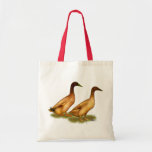 Ducks:  Khaki Campbell Bags