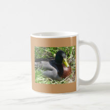 Ducks Mug