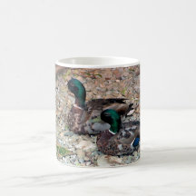 Ducks Mug