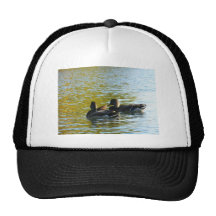Ducks on the Water Hat