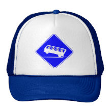 DUDES in transit-3 Trucker Hats