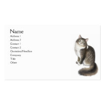 Duffy the Maine Coon Cat Business Card