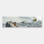 Dunes At Sunset Bumper Sticker