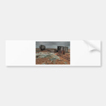 Dungeness I Bumper Stickers