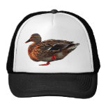 Dusk Duck Mesh Hat