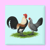 Dutch Bantams:  Cream Light Brown magnets