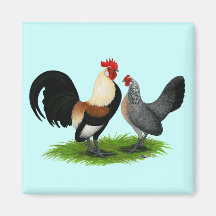 Dutch Bantams:  Cream Light Brown Magnets