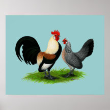 Dutch Bantams:  Cream Light Brown Posters