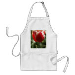 Dutchess Beauty Aprons