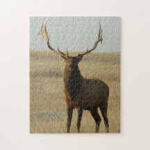 E0013 Bull Elk Puzzle