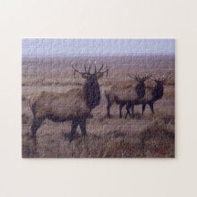 E0019 Bull Elk Puzzles