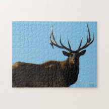E0027 Bull Elk Puzzles